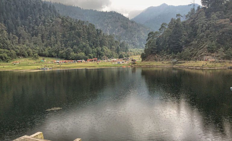 Urgen llamado en defensa del Bosque de Agua