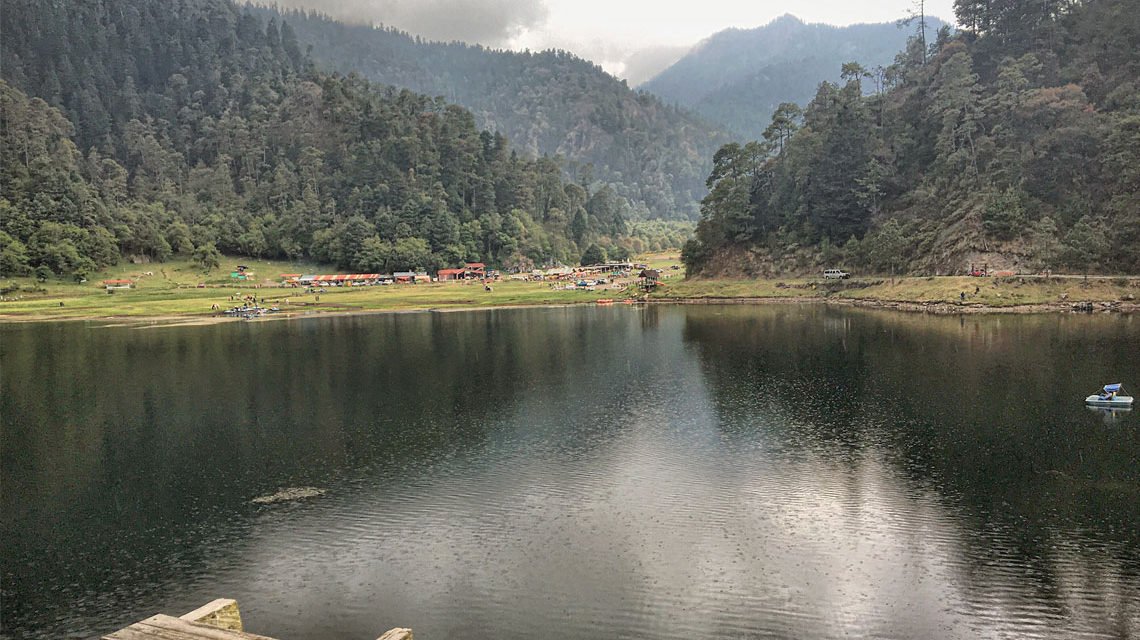 Urgen llamado en defensa del Bosque de Agua