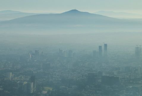 Mala calidad del aire repercute también en los ecosistemas y aumento de plagas
